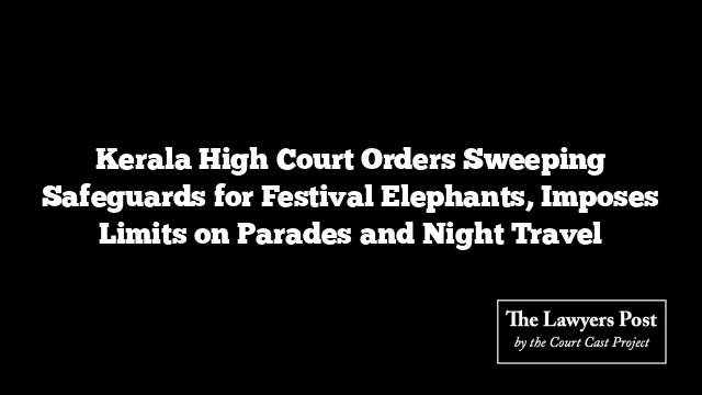 Kerala High Court Orders Sweeping Safeguards for Festival Elephants, Imposes Limits on Parades and Night Travel