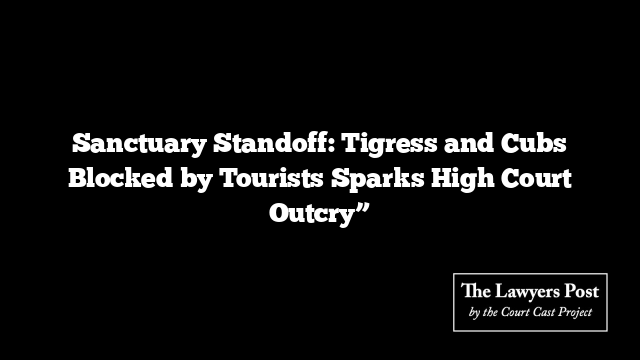 Sanctuary Standoff: Tigress and Cubs Blocked by Tourists Sparks High Court Outcry”