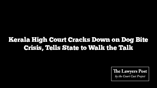 Kerala High Court Cracks Down on Dog Bite Crisis, Tells State to Walk the Talk