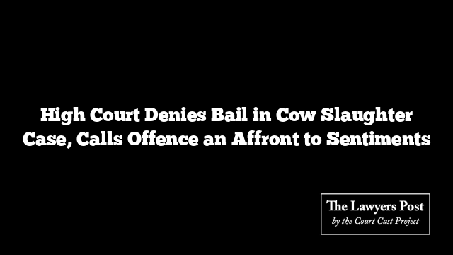 High Court Denies Bail in Cow Slaughter Case, Calls Offence an Affront to Sentiments