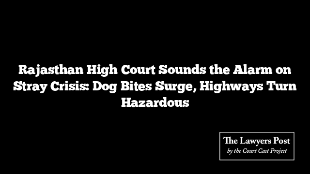 Rajasthan High Court Sounds the Alarm on Stray Crisis: Dog Bites Surge, Highways Turn Hazardous