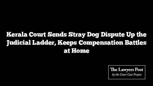 Kerala Court Sends Stray Dog Dispute Up the Judicial Ladder, Keeps Compensation Battles at Home
