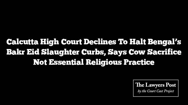 Calcutta High Court Declines To Halt Bengal’s Bakr Eid Slaughter Curbs, Says Cow Sacrifice Not Essential Religious Practice