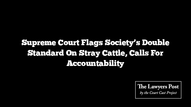 Supreme Court Flags Society’s Double Standard On Stray Cattle, Calls For Accountability