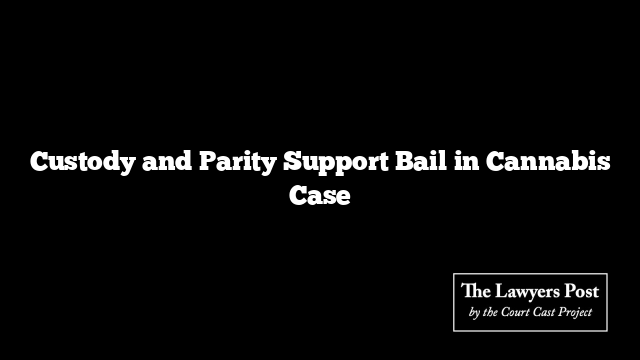Custody and Parity Support Bail in Cannabis Case